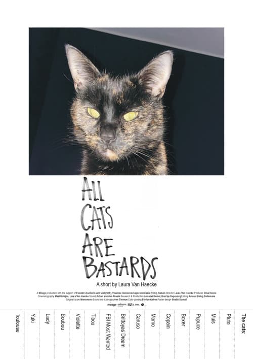 All Cats Are Bastards