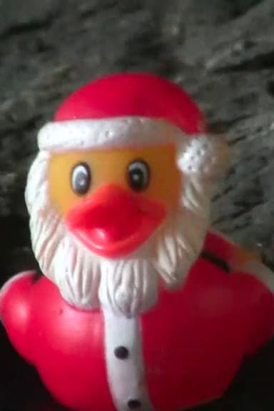 Duck Santa