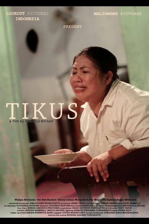 Tikus