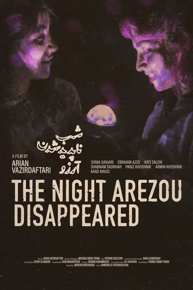 The Night Arezou Disappeared