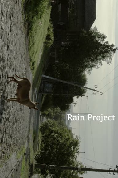 Rain Project