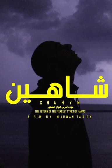 SHAHYN - THE RETURN OF THE FIERCEST TYPES OF HAWKS