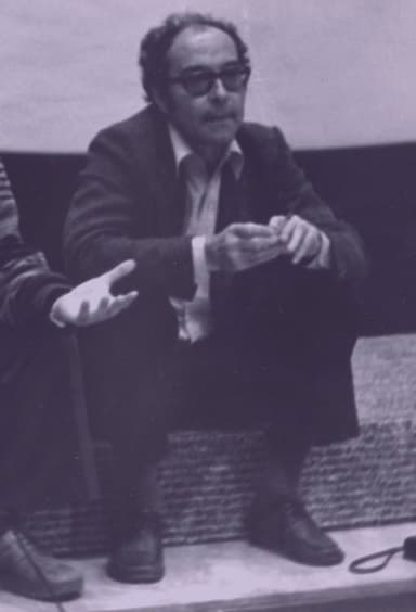 Leçons de cinéma de Godard à Montréal, classe 10