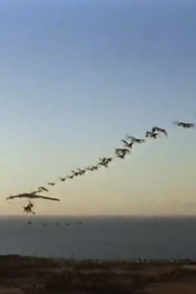 The Ultra Geese