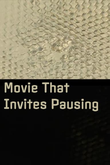 Movie That Invites Pausing