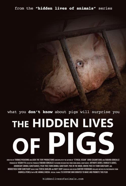 The Hidden Lives of Pigs