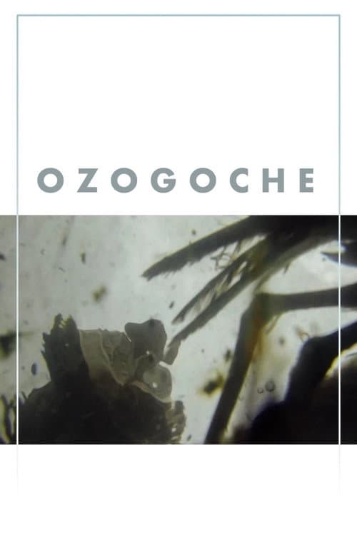Ozogoche