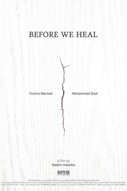 Before We Heal