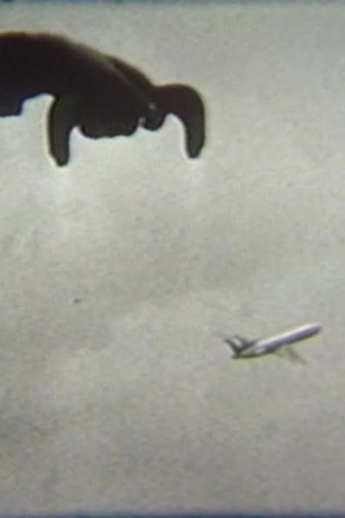 Flying