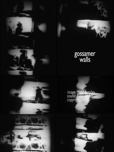 Gossamer Walls