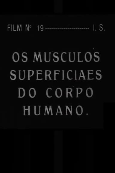 Os Músculos Superficiais do Corpo Humano