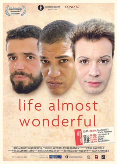Life Almost Wonderful