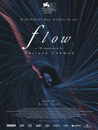 Flow VR