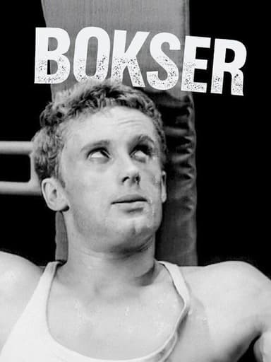 Boxer