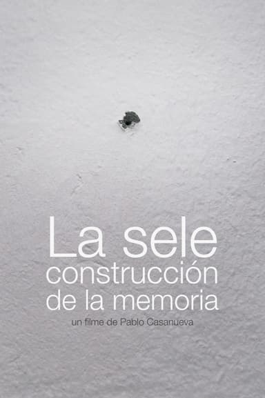 La sele construcción de la memoria
