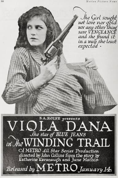 The Winding Trail