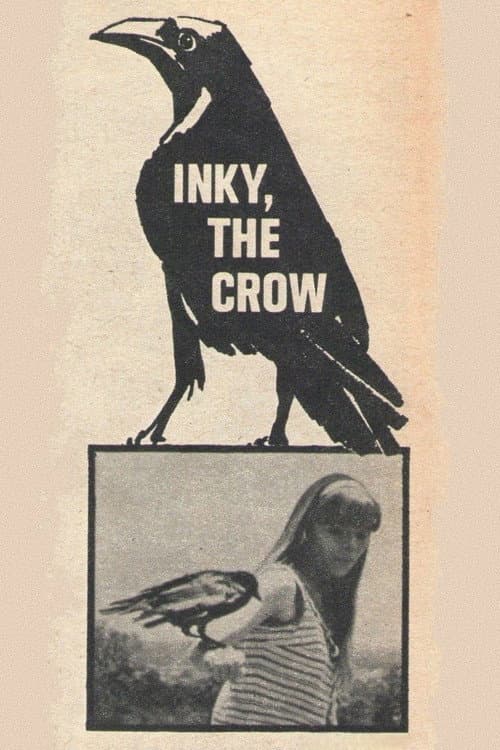 Inky, the Crow