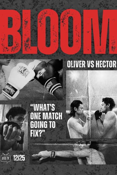 Bloom