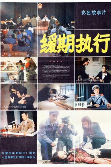 缓期执行