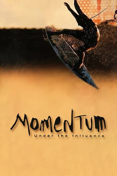 Momentum: Under the Influence