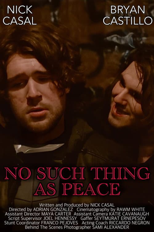 No Such Thing As Peace