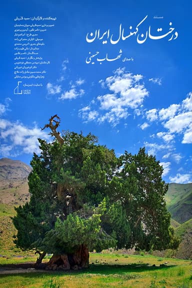Ancient Trees of Iran
