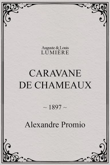 Caravane de chameaux