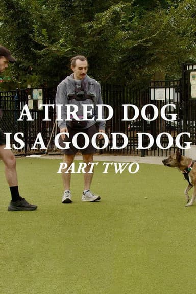 A Tired Dog is a Good Dog, Part Two