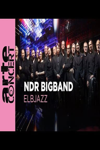 NDR Bigband feat. Lenine & Martin Fondse: The Bridge Elbjazz Festival 2024