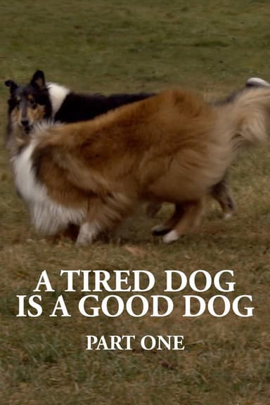 A Tired Dog is a Good Dog, Part One