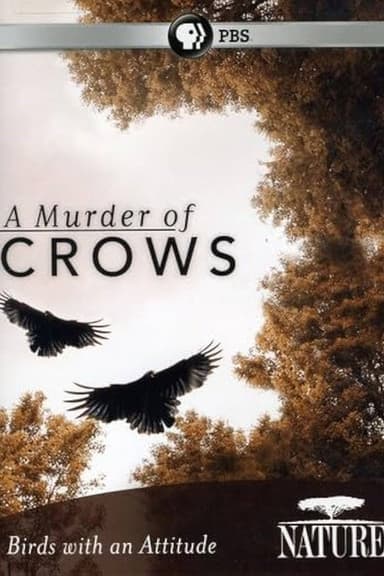 A Murder of Crows