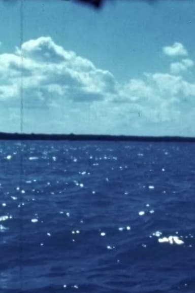 Woman Water Huron Goodbye