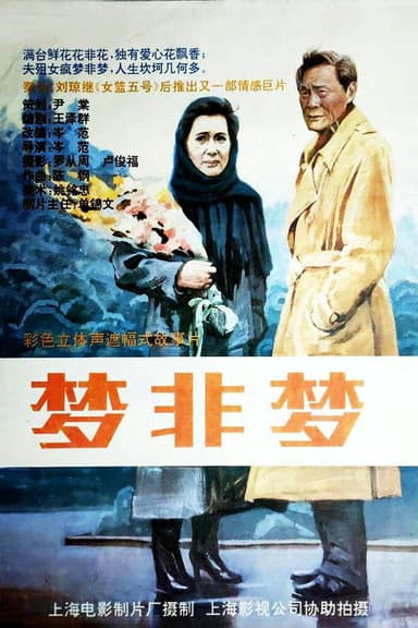 梦非梦