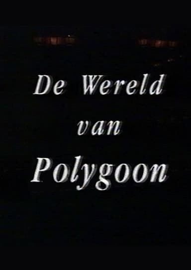 The World of Polygoon