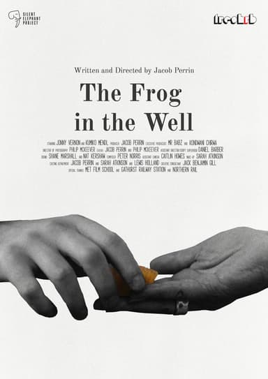 The Frog in The Well