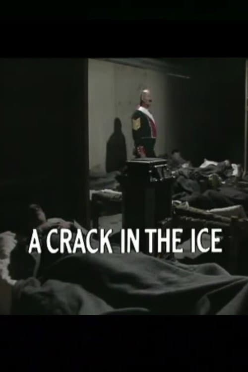 A Crack in the Ice