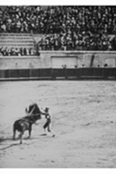 Course de taureaux : estocade