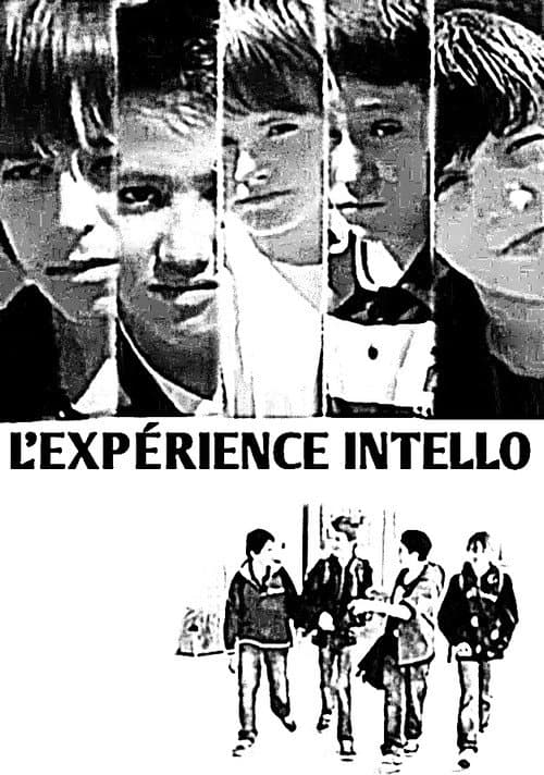 L'expérience Intello