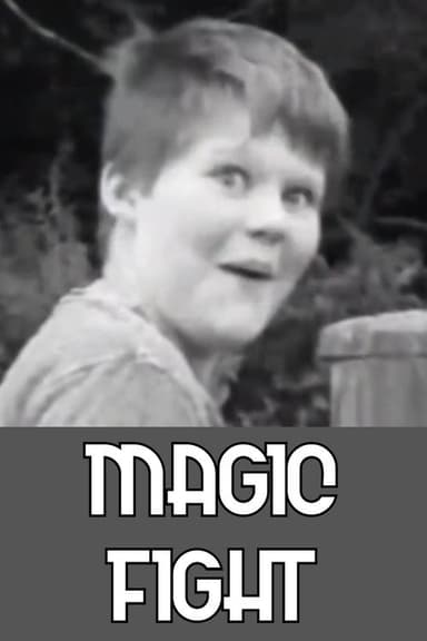 Magic Fight