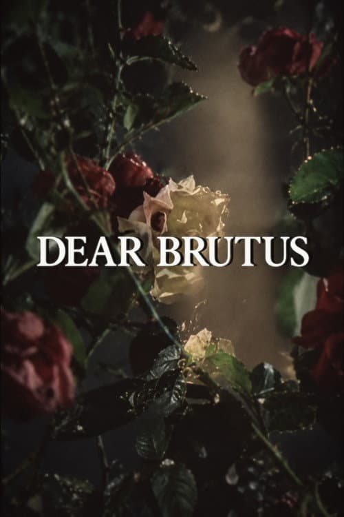 Dear Brutus