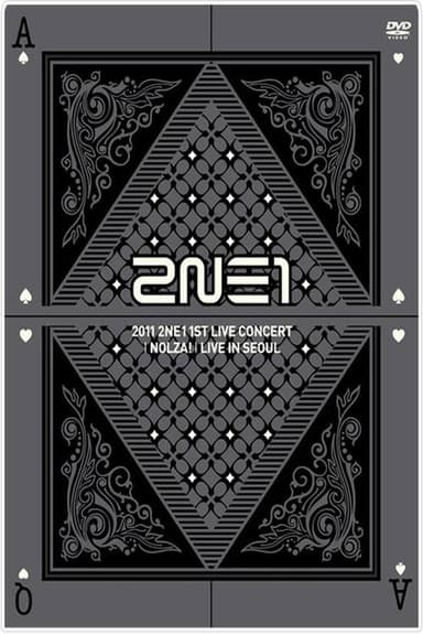 2NE1: 1st Live Concert NOLZA
