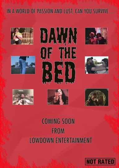 Dawn of the Bed