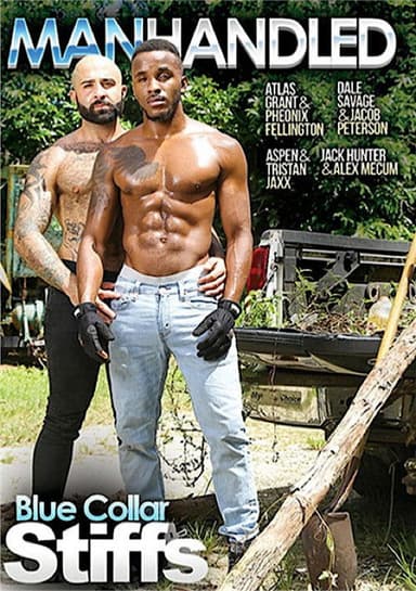 Blue Collar Stiffs