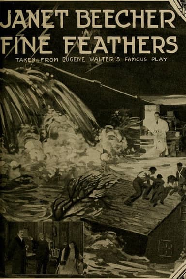 Fine Feathers