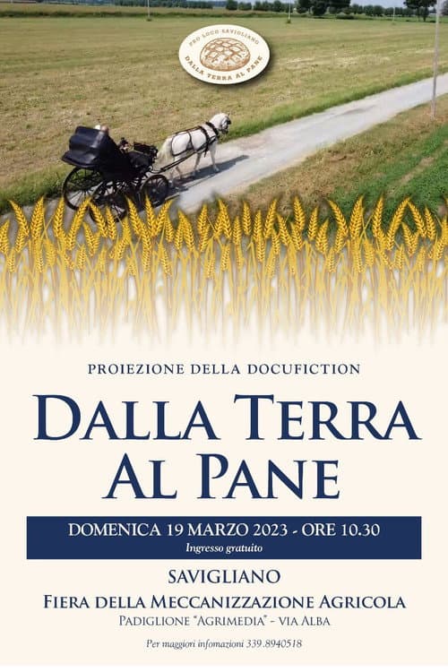 Dalla terra al pane