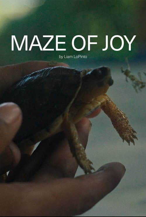 Maze of Joy