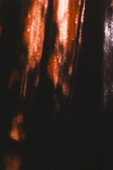 Curtain