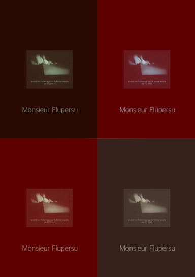 Monsieur Flupersu