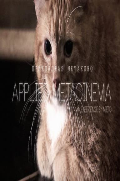 Metacinema appliqué
