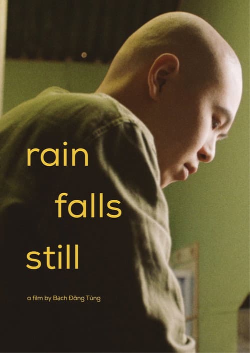 Rain Falls Still